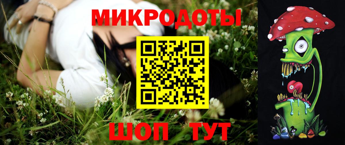 Псилоцибиновые грибы прущие грибы Волгоград