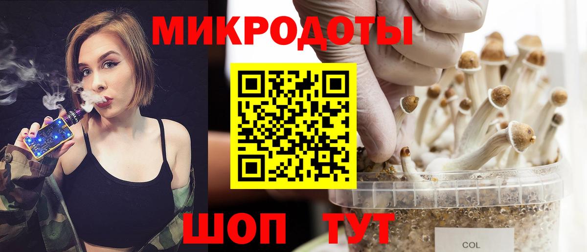 где можно купить   Галлюциногенные грибы Magic Shrooms  Вход с VPN  Волгоград 
